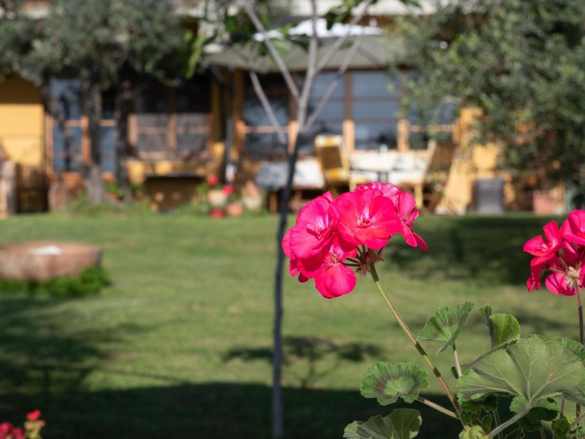B&B Casa Decimo Греве-ін-К'янті Екстер'єр фото